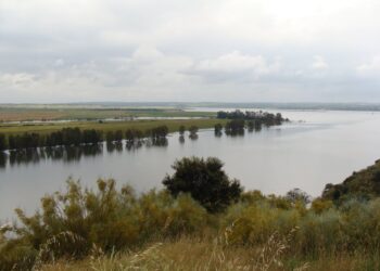 Natuurgebied met rivier