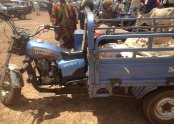 Veetransport
