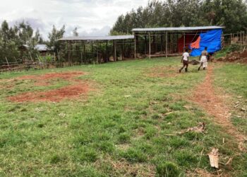 ethiopie-2022-image-016