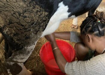 ethiopie-2022-image-024